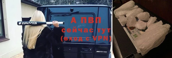 спайс Беломорск
