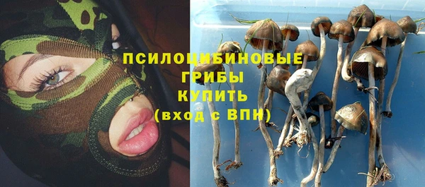 тгк Белокуриха