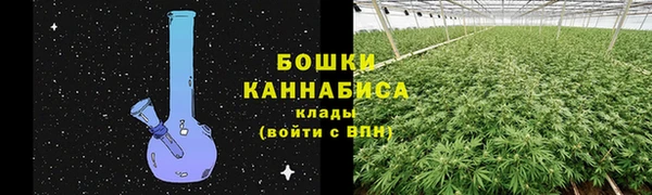 спайс Беломорск