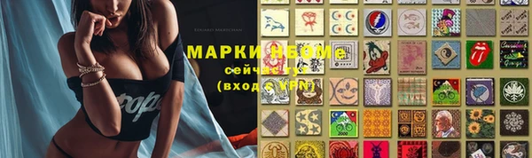 тгк Белокуриха