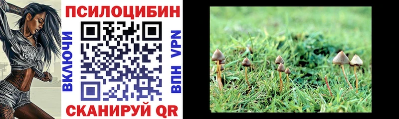 Купить закладки Солнечногорск Галлюциногенные грибы GOLDEN TEACHER